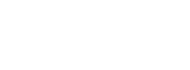 Promised Quality Premium Line Z790FD/D5