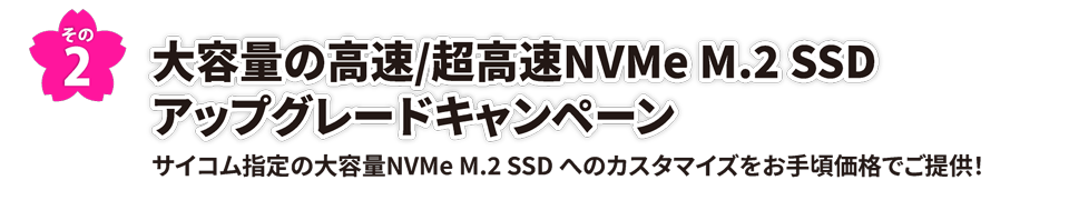 その2　大容量の高速/超高速NVMe M.2 SSD アップグレードキャンペーン　サイコム指定の大容量NVMe M.2 SSD へのカスタマイズをお手頃価格でご提供！