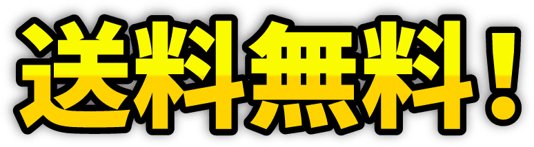 送料無料！